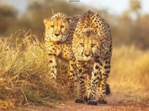 WhatsApp Image 2025 09 12 at 20.41.51