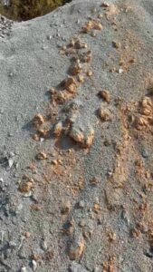 WhatsApp Image 2026 03 10 at 3.21.18 AM