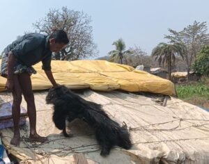 WhatsApp Image 2026 03 13 at 4.35.34 PM