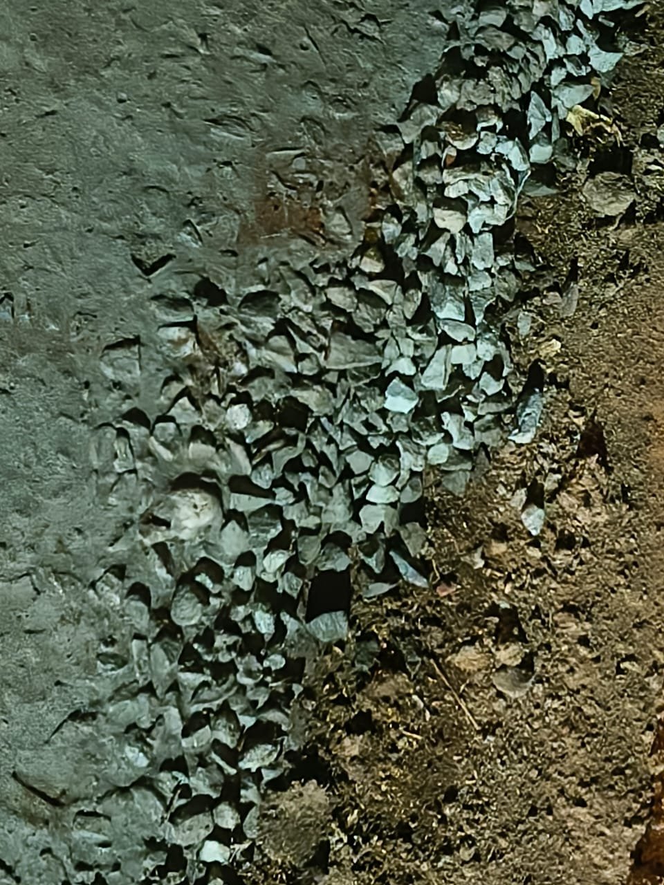 WhatsApp Image 2026 03 23 at 08.22.49 1