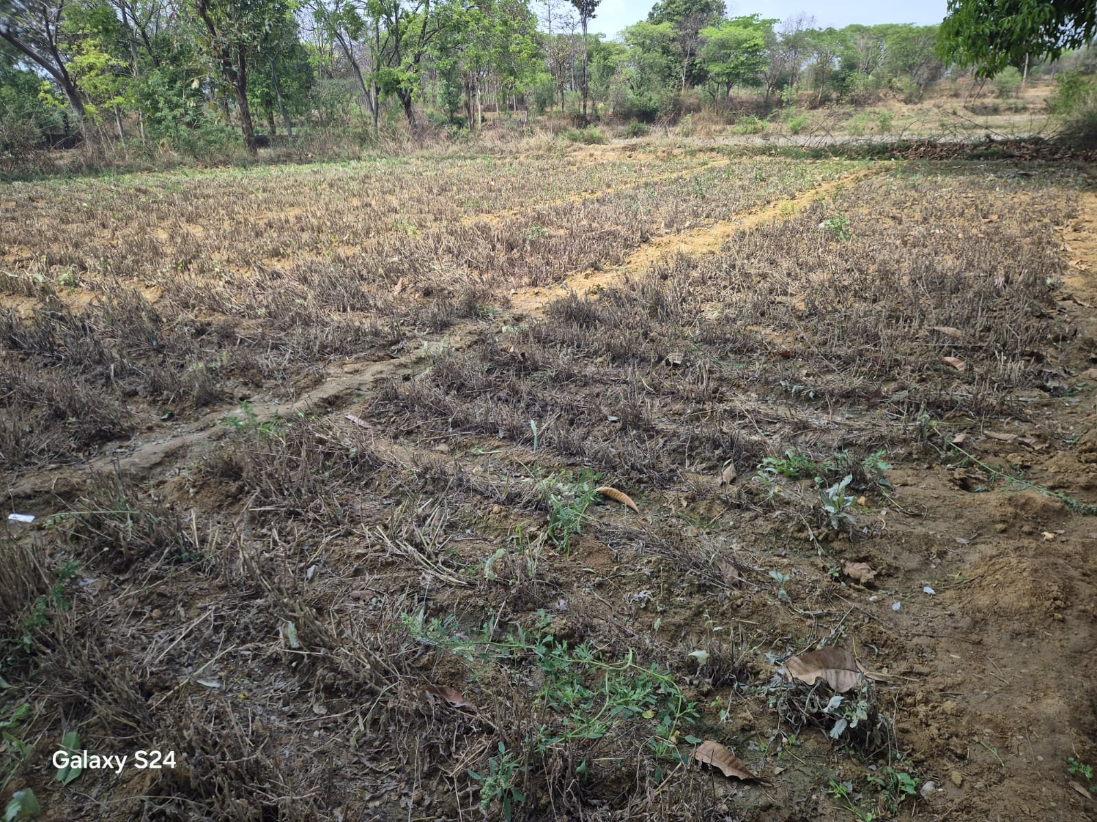 WhatsApp Image 2026 03 24 at 18.05.50