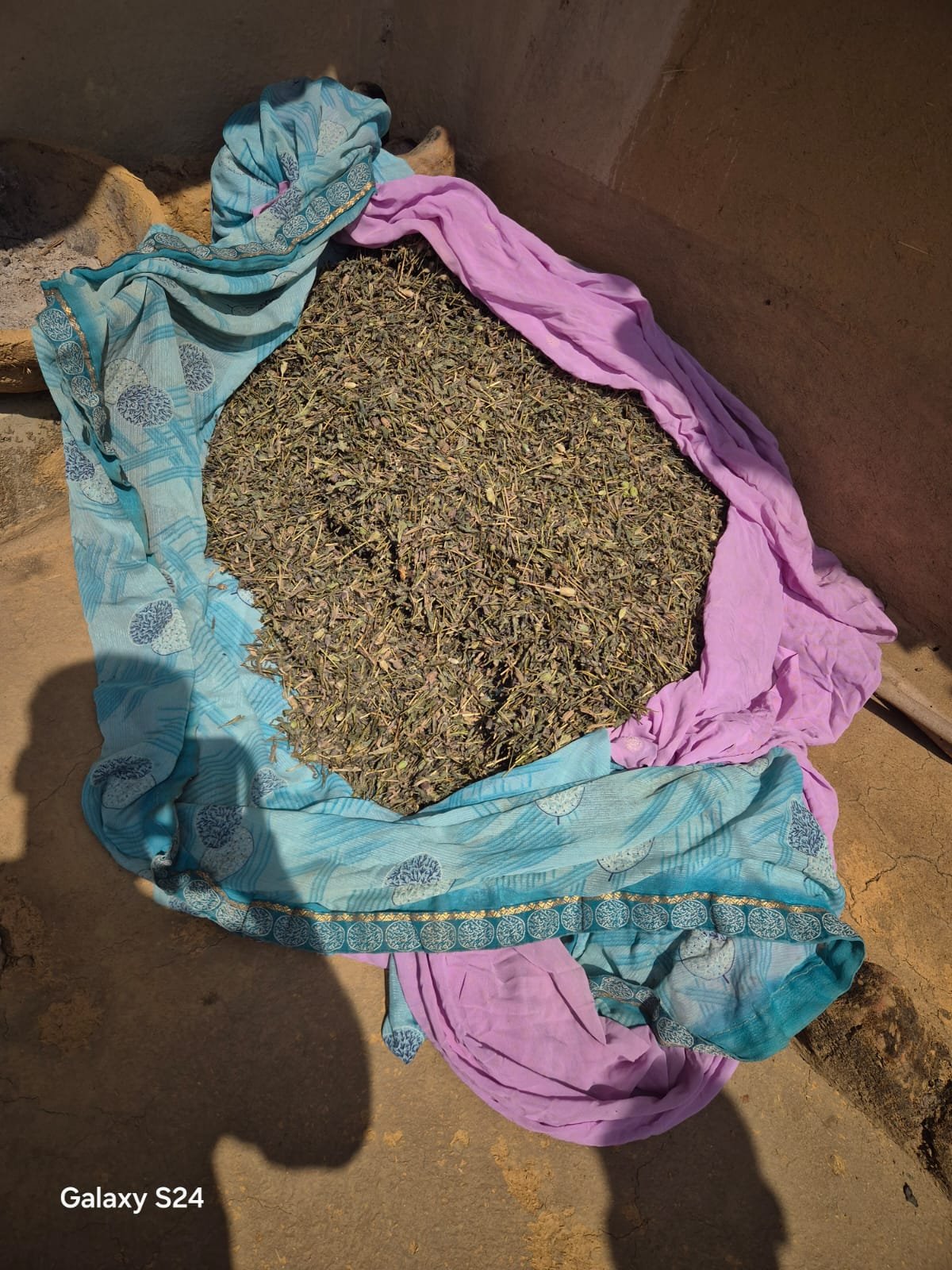 WhatsApp Image 2026 03 24 at 18.05.51