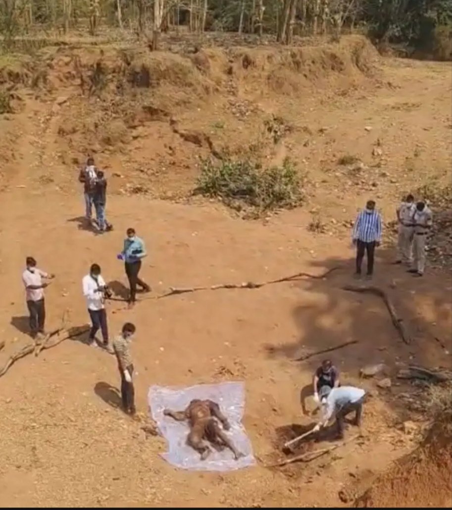 मृतक के सगे भाई व परिजन ही निकले हत्या के मास्टरमांइड, संपत्ति हड़पने के उद्देश्य से बाप – बेटे मे दुश्मनी कराकर सुपारी देकर अपहरण कर किया गया हत्या 3 WhatsApp Image 2026 03 31 at 00.13.14