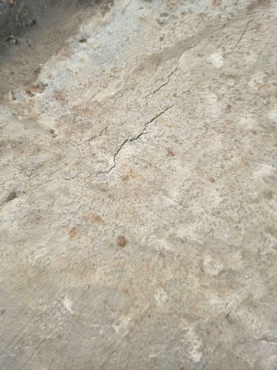 WhatsApp Image 2026 03 31 at 17.08.14