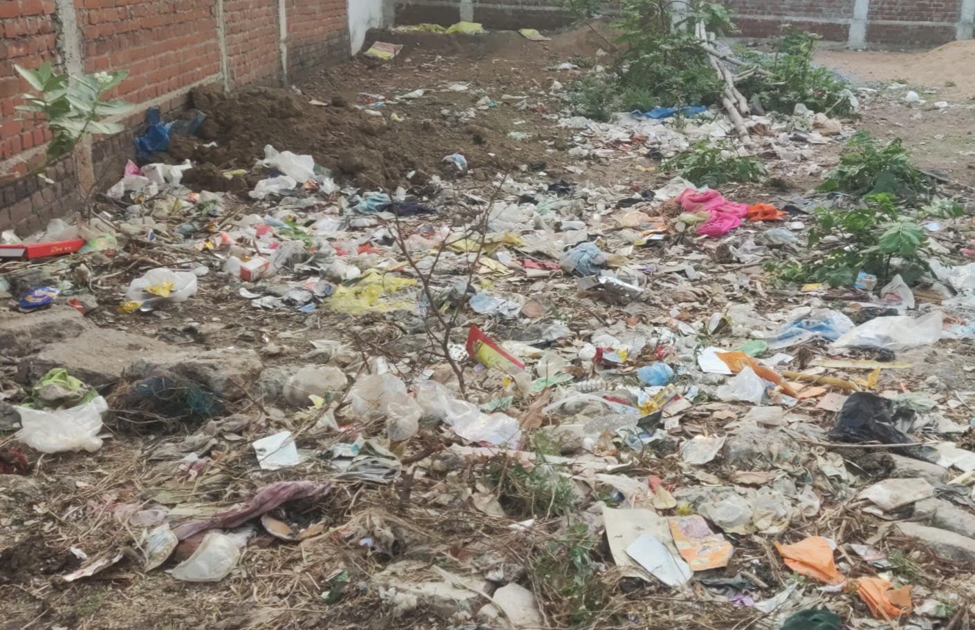 WhatsApp Image 2026 04 01 at 17.25.20 2