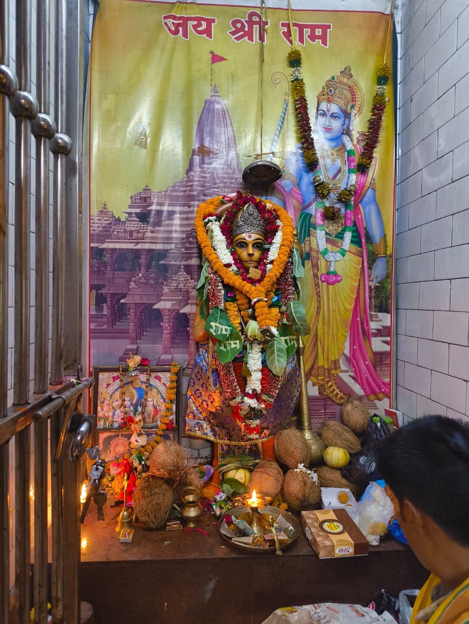 WhatsApp Image 2026 04 03 at 15.29.14