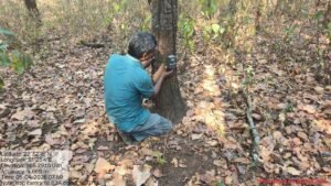 WhatsApp Image 2026 04 10 at 8.23.19 PM