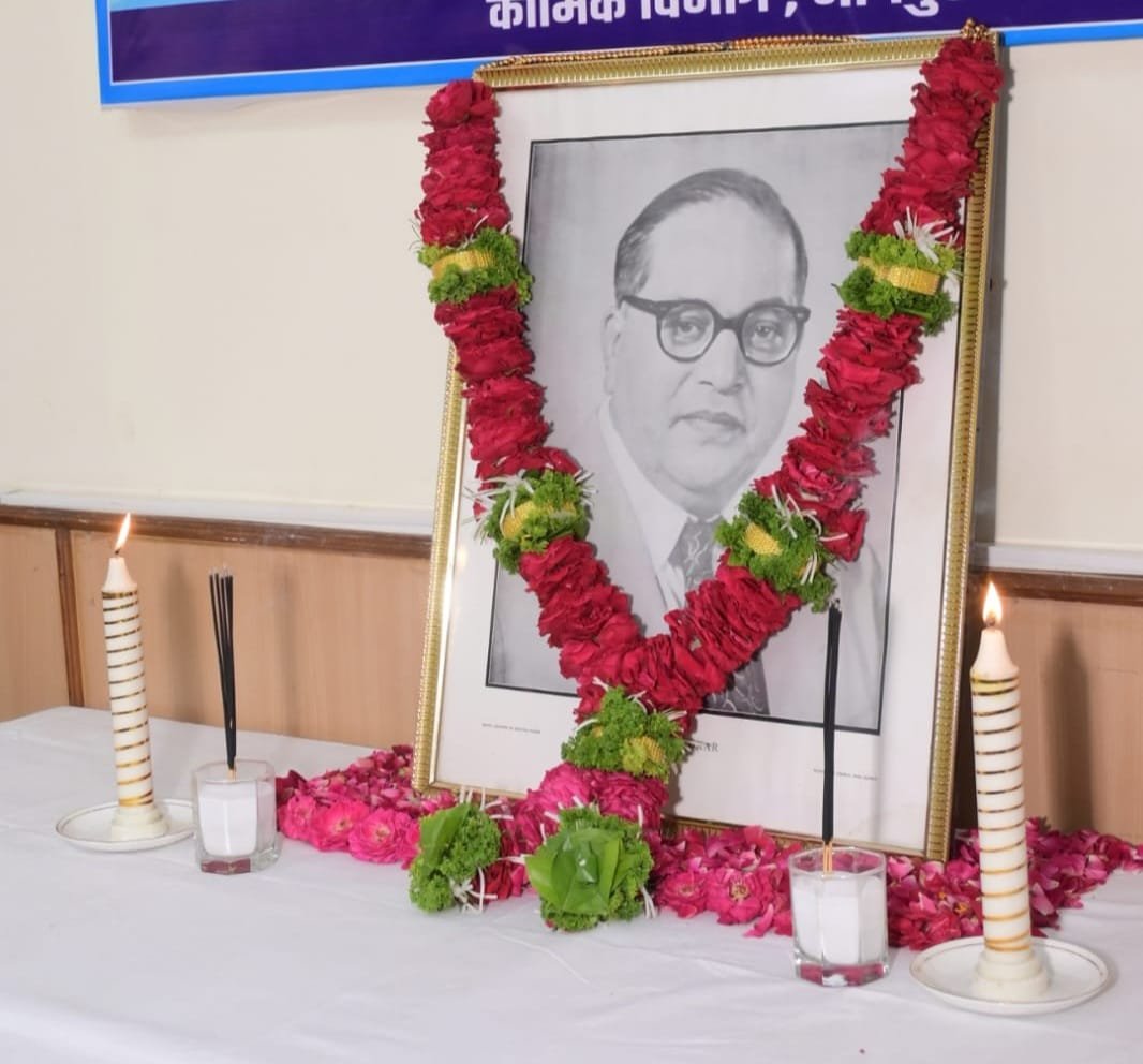 WhatsApp Image 2026 04 14 at 16.38.48 1