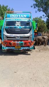 अवैध पशु तस्करी पर पुलिस का बड़ा प्रहार, 36 मवेशियों के साथ ट्रक जब्त, दो आरोपी गिरफ्तार 1 WhatsApp Image 2026 04 14 at 9.07.20 PM