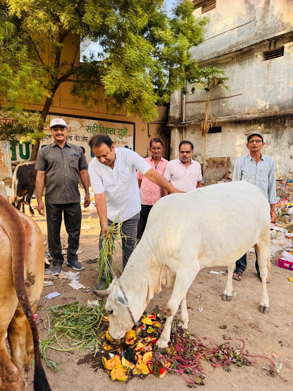 *संकल्प संगठित परिवार के सेवा कदम: सड़कों से गौशाला तक गूंजा जीव सेवा का संकल्प* 1 WhatsApp Image 2026 05 31 at 10.24.10