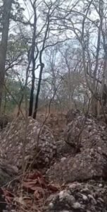 कांकेर में सुरक्षा बलों को बड़ी सफलता: हिदूर के जंगलों से 3 टिफिन आईईडी बरामद, बीडीएस टीम ने किया नष्ट 1 WhatsApp Image 2026 06 03 at 2.35.13 PM