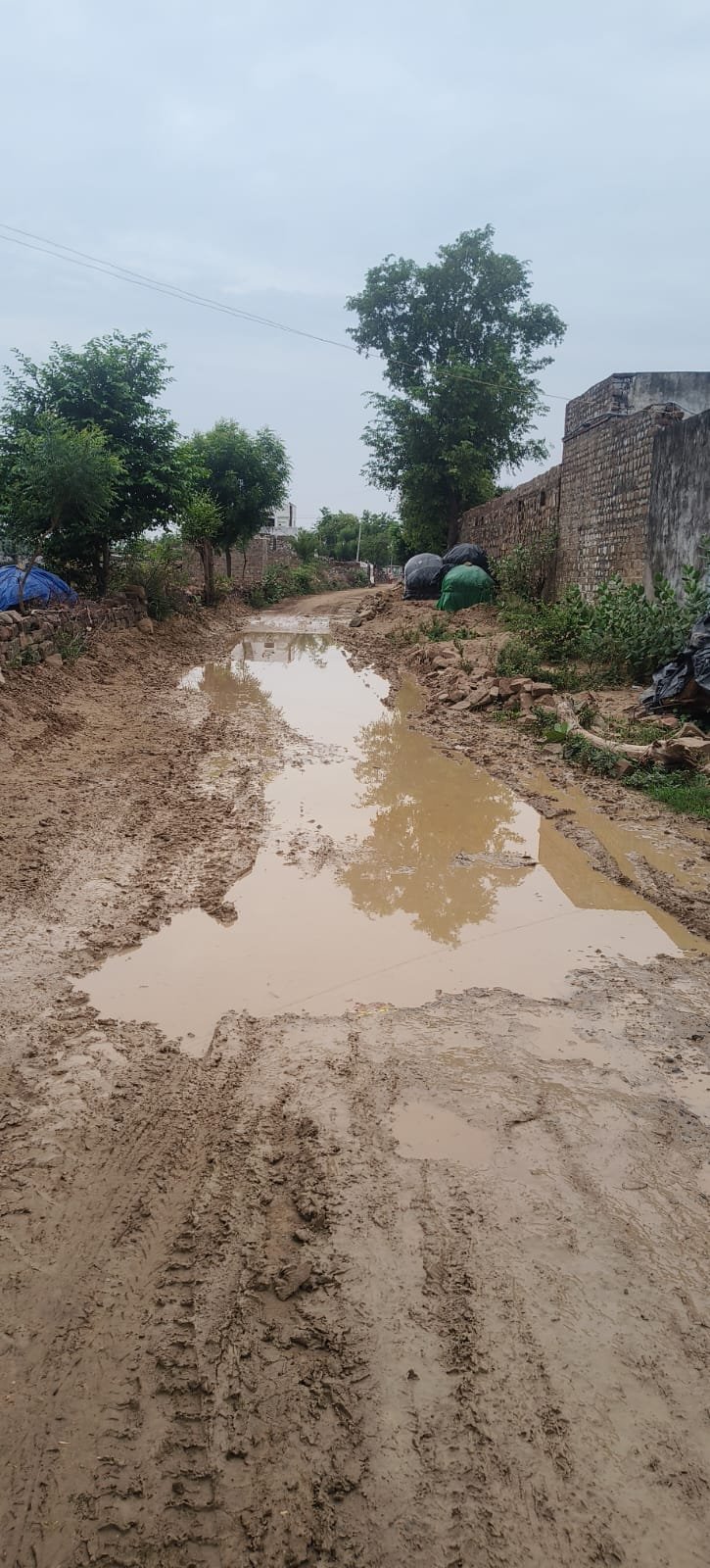 WhatsApp Image 2026 07 01 at 14.19.24 1