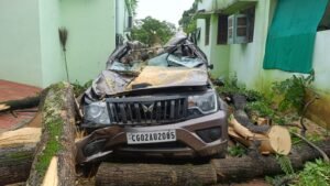 बारिश का कहर: फॉरेस्ट परिसर में खड़ी बोलेरो पर गिरा विशालकाय पेड़, वाहन पूरी तरह चकनाचूर… 2 WhatsApp Image 2026 07 30 at 12.52.32 2