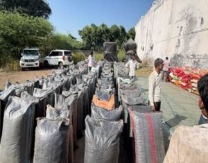 डोडा चुरा माफिया पर बड़ा प्रहार सीबीएन की बड़ी कार्रवाई, 4.2 टन डोडा चूरा जब्त; गेहूं की बोरियों की आड़ में हो रही थी तस्करी* 1 WhatsApp Image 2026 10 12 at 12.59.23 1