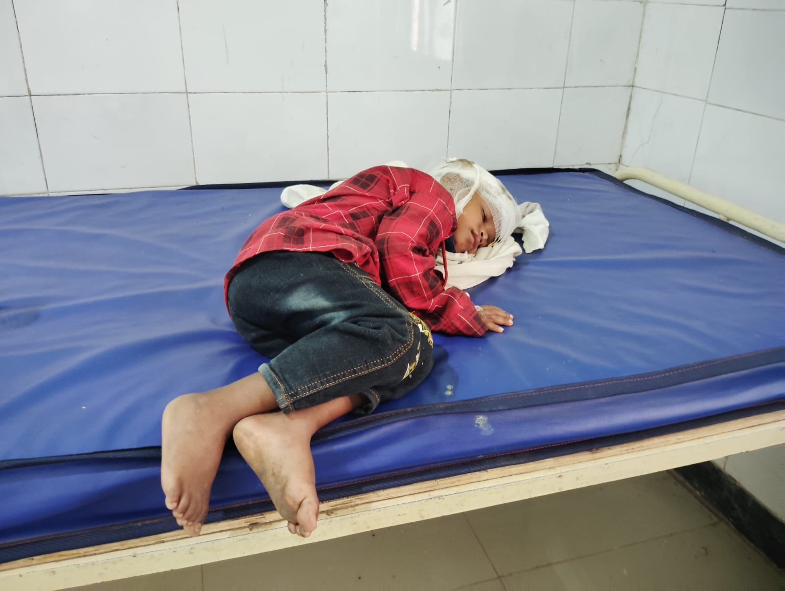 WhatsApp Image 2025-05-27 at 19.14.46