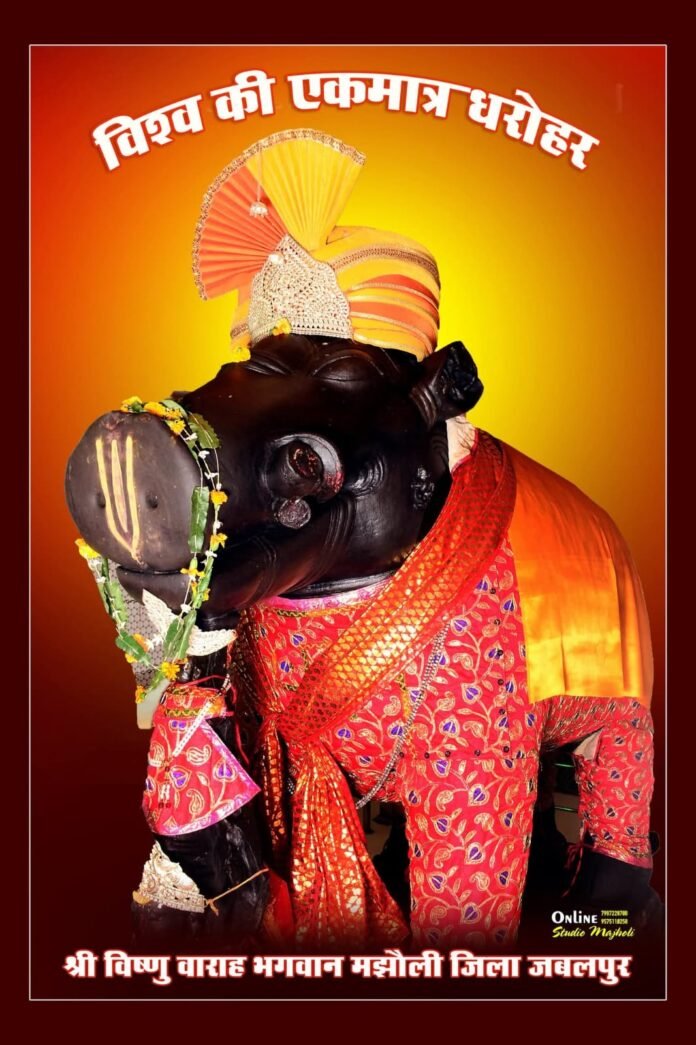 5dfcc76d-87ec-44de-b34b-2d3f54deb8c1