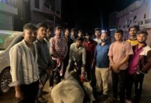 बजरंग दल द्वारा रेडियम बेल्ट महाअभियान जारी