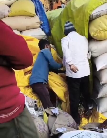 badc03bc e66d 41ab 951e bc0d6edbebfe 1