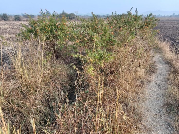 e622de92-9e17-4f63-86a0-899e19b3de48