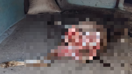 Untitled Time 0 00 0000