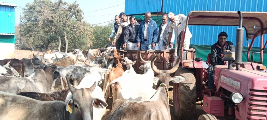 105 ऐलक गोसलसागर जी के अवतरण दिवस पर गोसलपुर की गौशाला में शांति विधान, भक्ताम्बर पाठ एवं गौसेवा का भव्य आयोजन