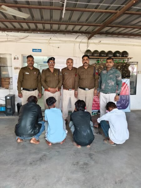 WhatsApp Image 2026 02 14 at 20.06.33 1