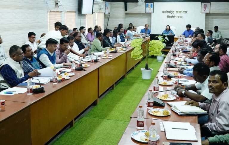 समय-सीमा बैठक में कलेक्टर सख्त, लंबित प्रकरण दो दिन में निपटाने के निर्देश