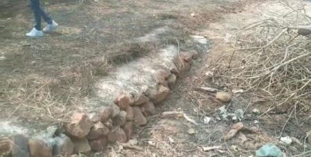 e468e701 d294 4d11 b194 0193bcf955cc