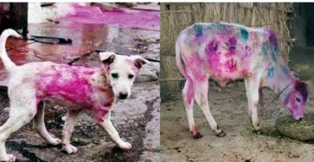 web.whatsapp 2026 02 27T162820.223