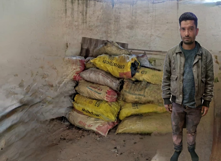 web.whatsapp 2026 02 28T124828.122