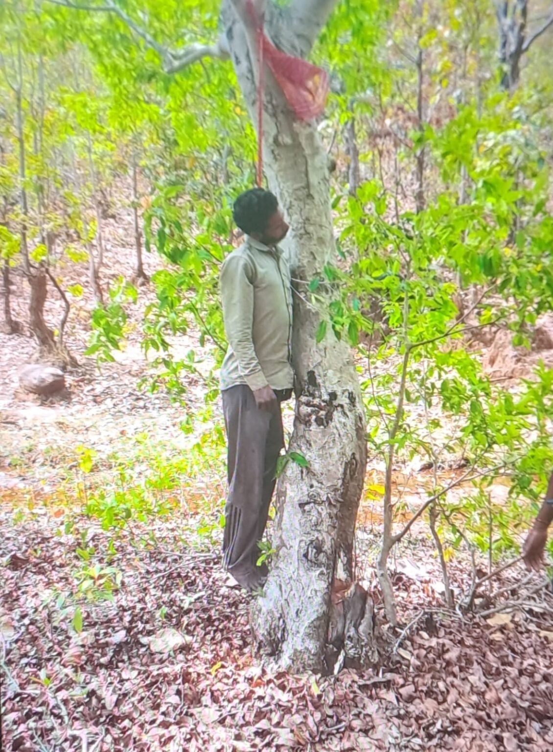 12aabdeb dac7 48d8 8797 502ec63d980d