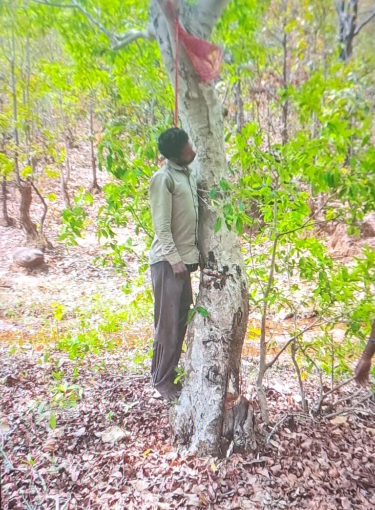 12aabdeb dac7 48d8 8797 502ec63d980d