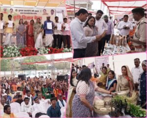 1e7d7159 ed56 442d bcdd 2a1c0993bea1