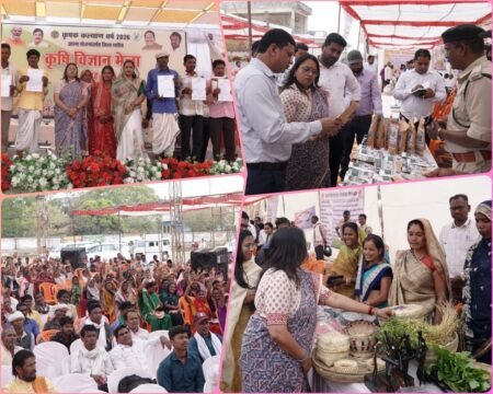 1e7d7159 ed56 442d bcdd 2a1c0993bea1