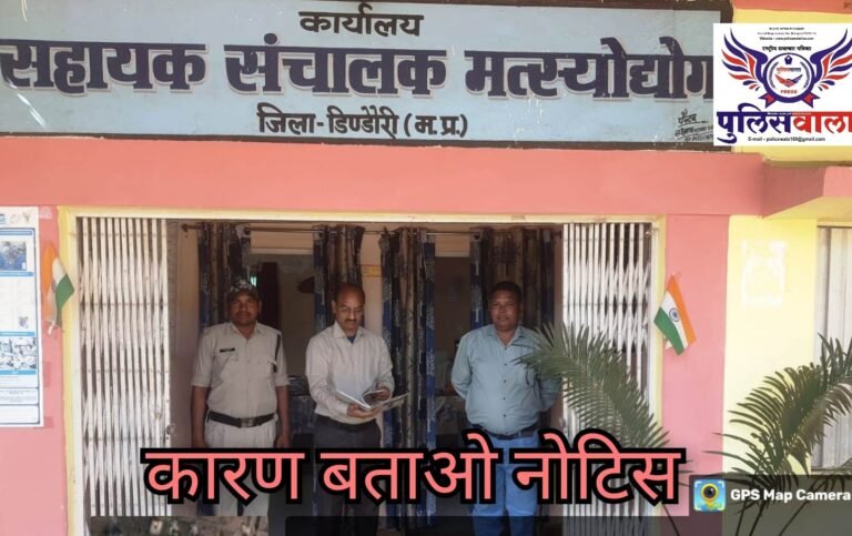 WhatsApp Image 2026 03 12 at 5.02.13 PM