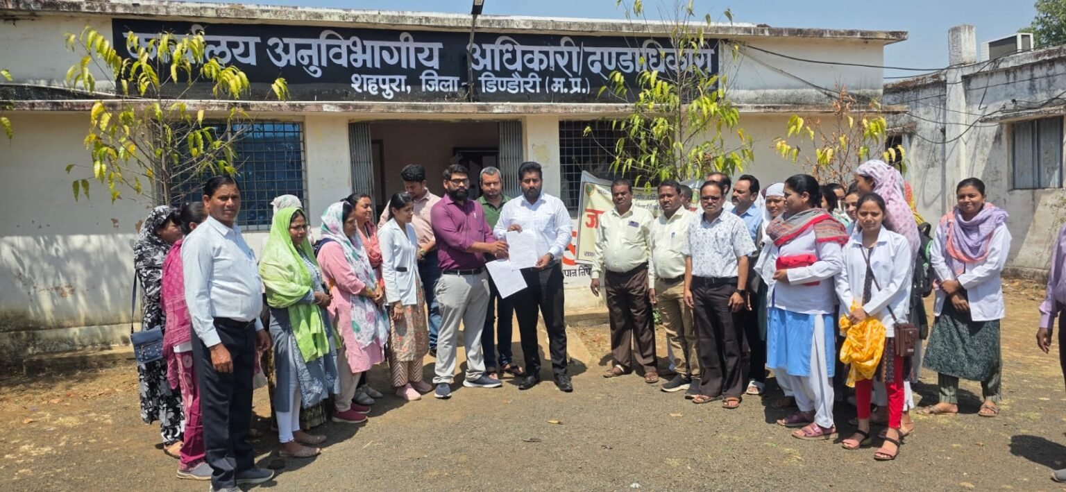 WhatsApp Image 2026 03 24 at 15.43.10