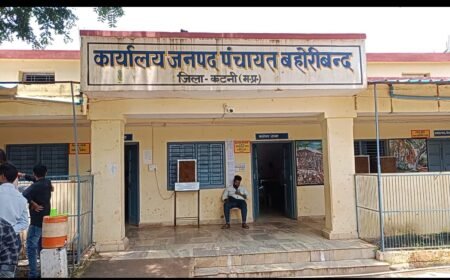 भ्रष्टाचार की भेंट चढ़ी विकास की राह: मोहनियां नीम में 4 दिन पुरानी सीसी रोड में आई दरारें WhatsApp Image 2026 03 31 at 17.07.05