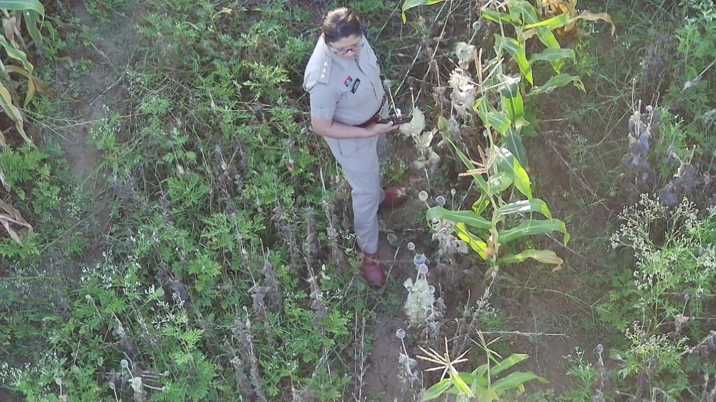 e9239f74 5393 4cb3 839b 7d60c4ef3873