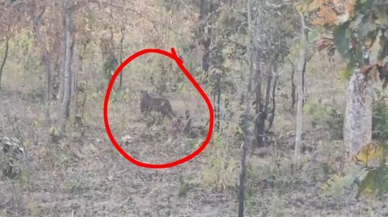 fd85c710 6eae 48dc 8da0 a81dd271e3a9