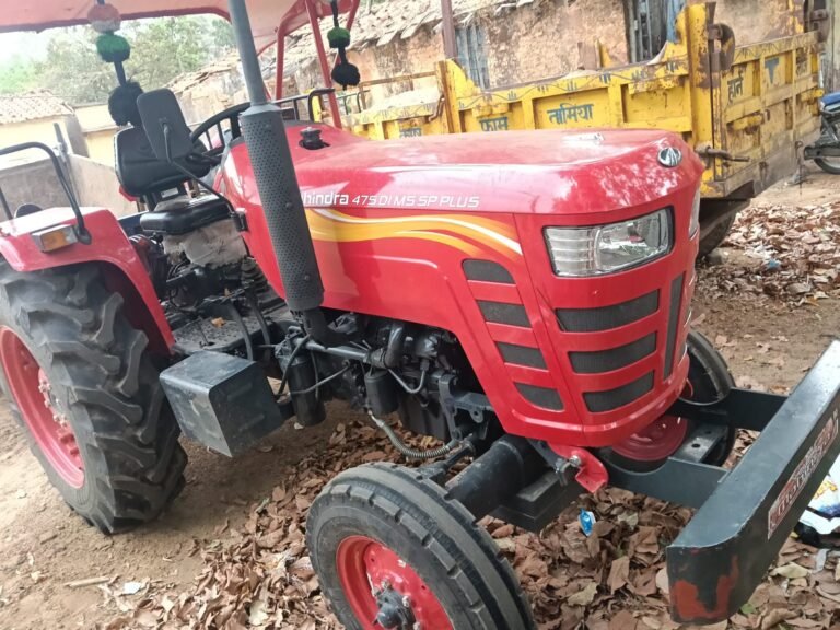 WhatsApp Image 2026 04 01 at 17.04.20