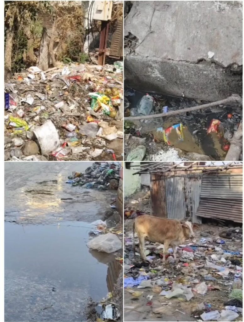 WhatsApp Image 2026 04 01 at 17.25.20 1