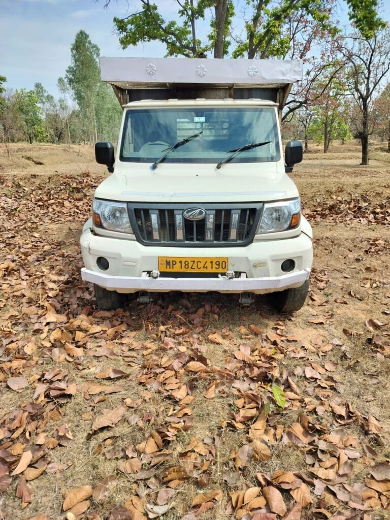 जैतपुर पुलिस की बड़ी कार्रवाई: अवैध मवेशी परिवहन करते पिकअप जब्त, आरोपी गिरफ्तार WhatsApp Image 2026 04 07 at 18.53.39