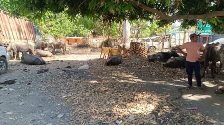 WhatsApp Image 2026 04 14 at 9.07.20 PM 1