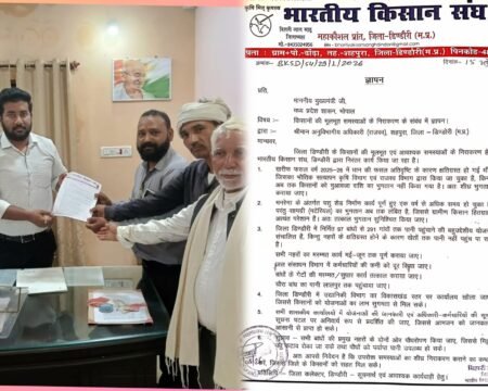 WhatsApp Image 2026 04 15 at 7.20.21 PM