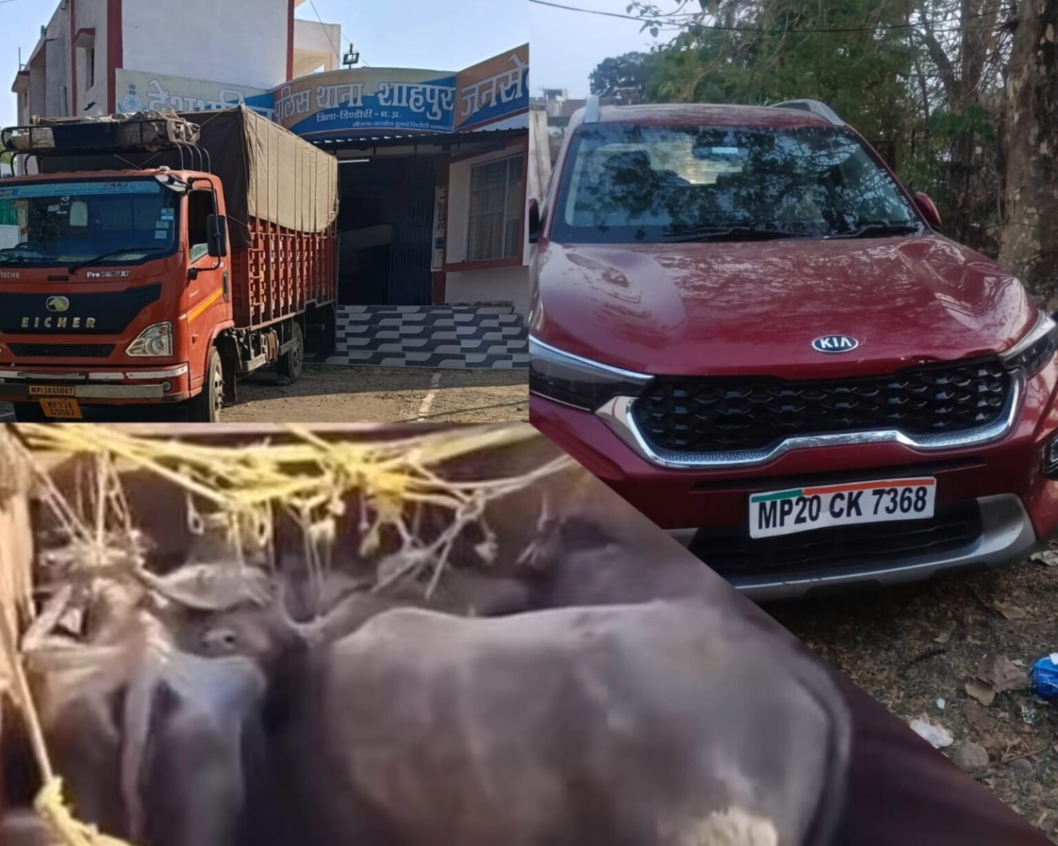 WhatsApp Image 2026 04 17 at 7.27.06 PM 1