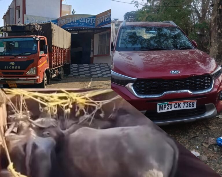 WhatsApp Image 2026 04 17 at 7.27.06 PM 1