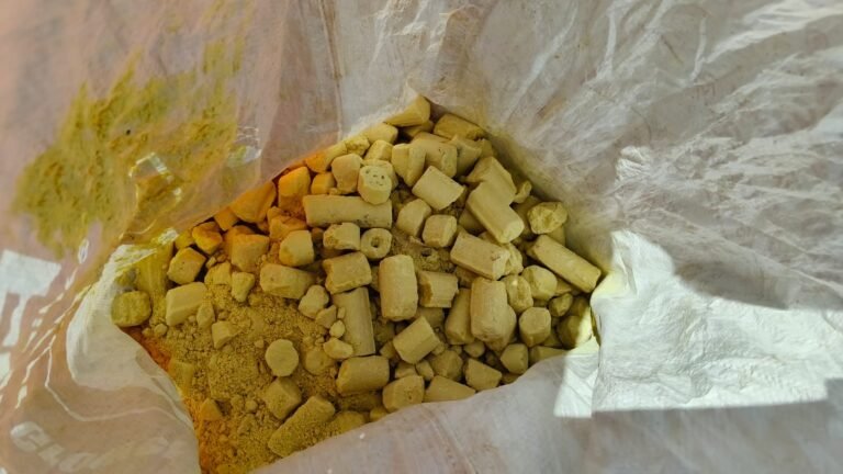 WhatsApp Image 2026 04 18 at 13.47.14 1