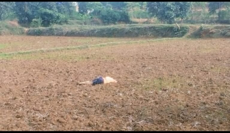 मछली चोरी की रंजिश में खूनी खेल..स्कॉर्पियो से बाइक को मारी टक्कर, फिर खेत में दौड़ा- दौड़ाकर युवक की निर्मम ह#त्या WhatsApp Image 2026 07 13 at 13.26.18