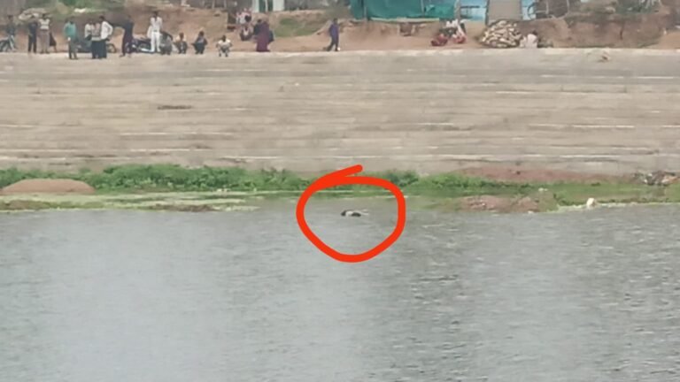 घर के पास तालाब में मिली 12वीं की छात्रा की लाश, गुमशुदगी के एक दिन बाद शव मिलने से सनसनी WhatsApp Image 2026 07 31 at 09.56.10
