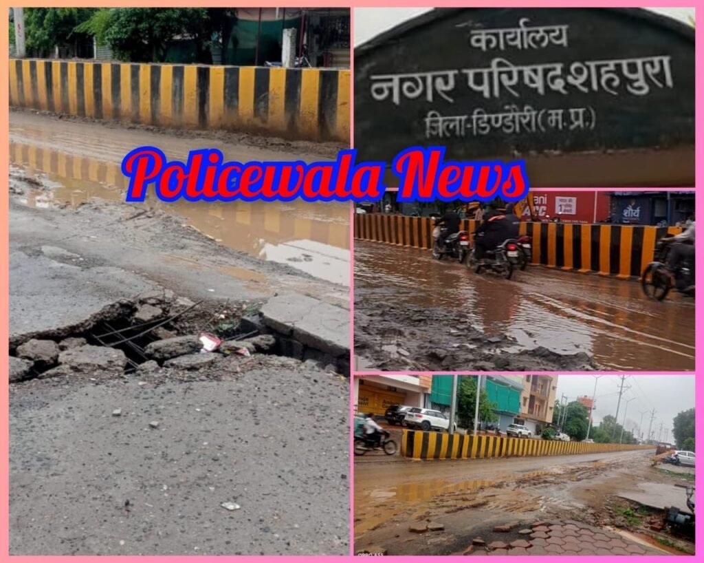 दो दिन की बारिश में बिगड़ी नगर व्यवस्था, जलभराव व कीचड़ से लोग परेशान c3a66bb6 28da 4b0e bd45 bfed9afafbe1